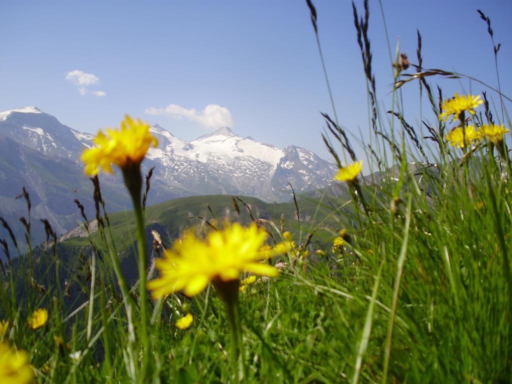 Apartmán Scheurerhof Tux Exteriér fotografie
